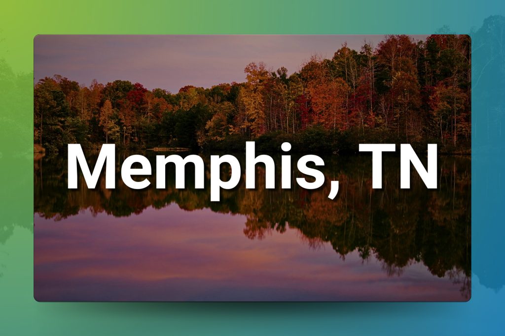 Memphis, TN Chiropractic Practice — High Income